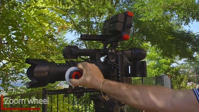 Canon C100 MK II: My setup for Wildlife Shooting смотреть онлайн