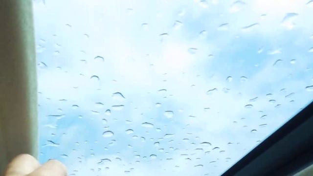 Family Car / Series 1 Elgrand 4WD High Spec @ Edward Lees's смотреть онлайн