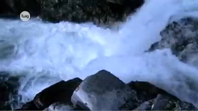 Круговорот воды смотреть онлайн