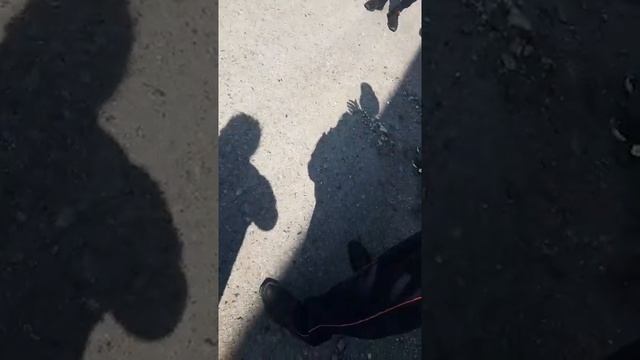 Наставление инспектора перед экзаменом) смотреть онлайн