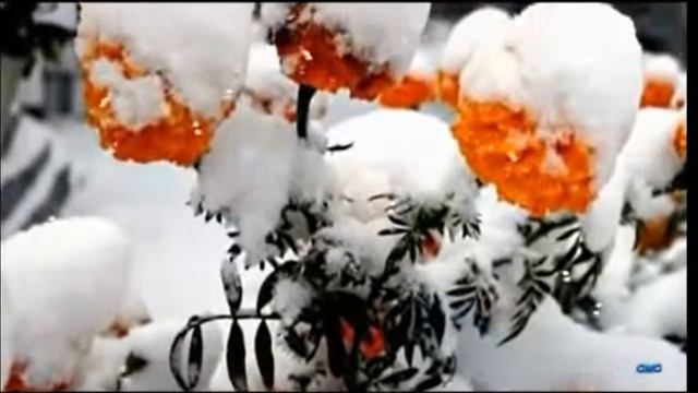 Ну,ты где, моя Любовь...Слова,муз. и исп. Самуила Фрумовича #СамуилФрумович смотреть онлайн