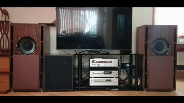 Goodmans Axiom 401 Onken DIY enclosure.