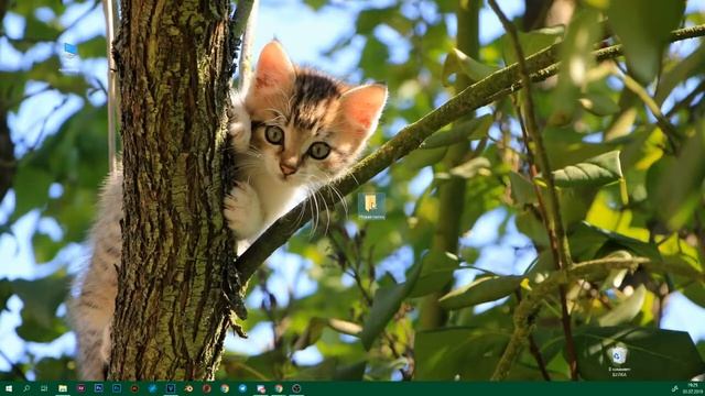 урок как открыть папку смотреть онлайн