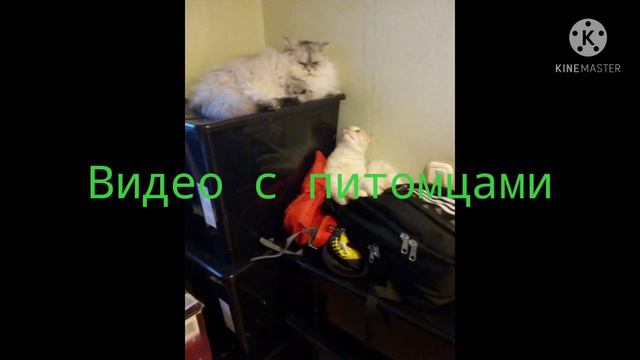 Delshu Kurenaga final opening 4 смотреть онлайн