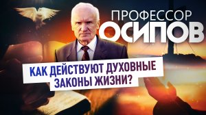 ПРОФЕССОР ОСИПОВ: КАК ДЕЙСТВУЮТ ДУХОВНЫЕ ЗАКОНЫ ЖИЗНИ?