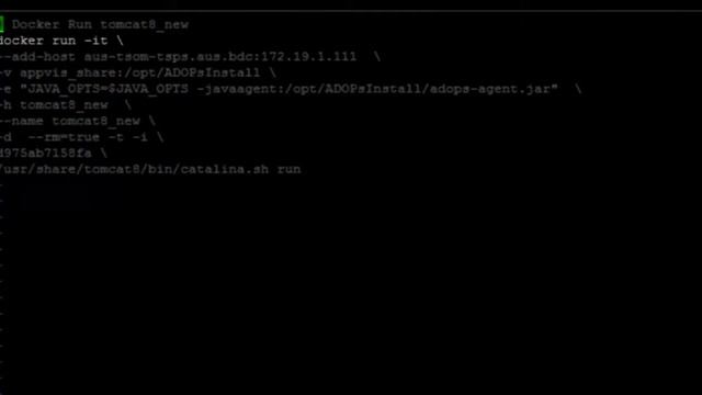 TrueSight App Visibility in Docker Containers | Part III смотреть онлайн