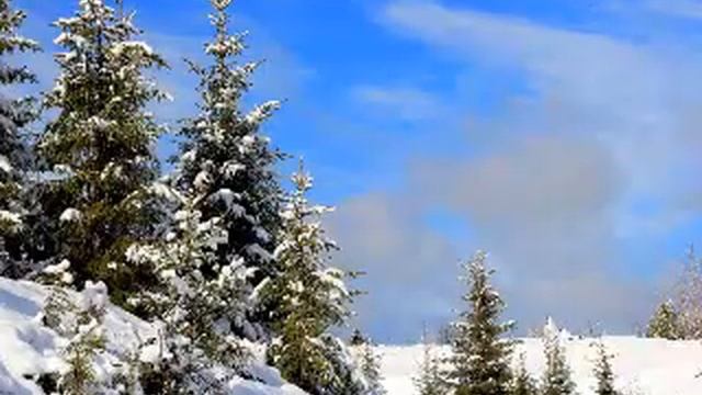 206. Семейный совет апостола Петра (1) смотреть онлайн