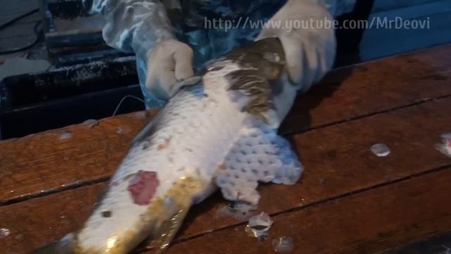 Сазан. Чистка по-астрахански смотреть онлайн