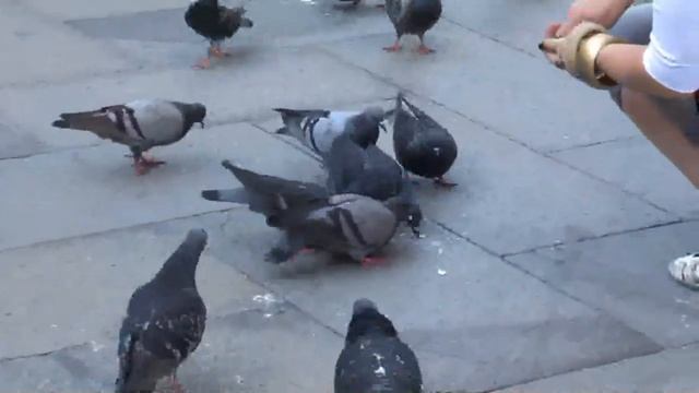 ?? Piazza San Marco - Venezia (HD) смотреть онлайн