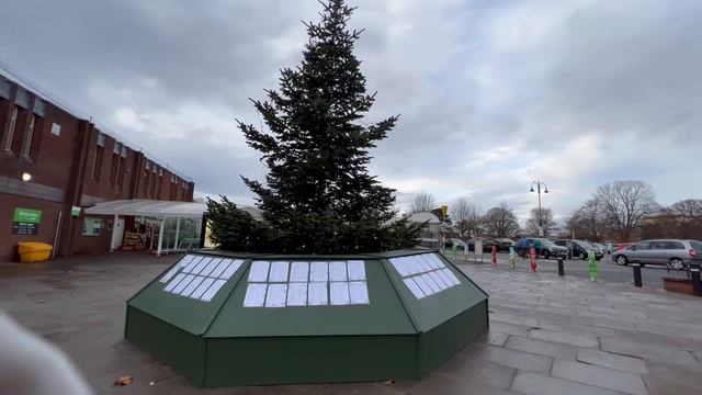 №144 Жизнь в Англии. Ёлка памяти, рождественские огни и наши собаки. смотреть онлайн