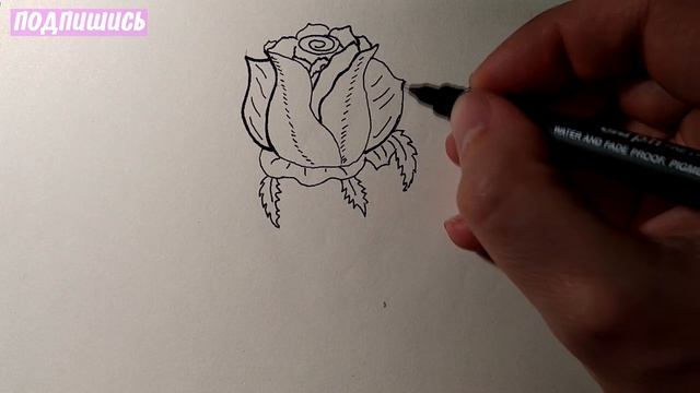 Как Нарисовать красивую РОЗУ поэтапно, Рисунки для детей и начинающих #drawings смотреть онлайн