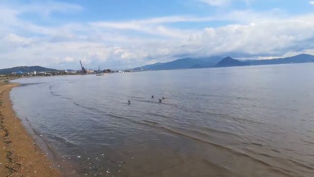 VID 20180927 125443 смотреть онлайн