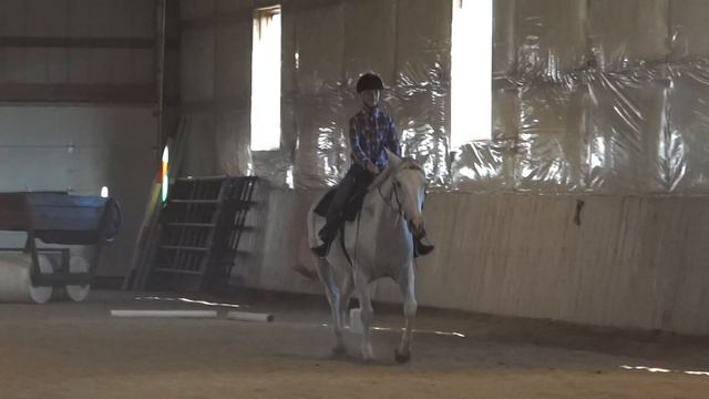 Katlin Fait riding Saphira - Harvest Virtual Show, USEF Western Dressage Intro 1 смотреть онлайн