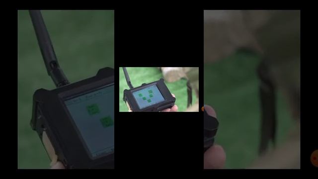 Обзор БЛИК смотреть онлайн