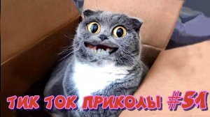 ?ТИК ТОК ПРИКОЛЫ / ЛУЧШИЕ СМЕШНЫЕ ВИДЕО TIK TOK?#51