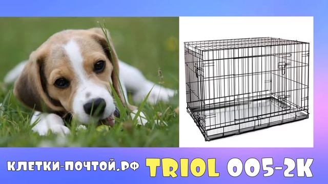 Триол 005-2k. Клетка для собак. Клетки Почтой смотреть онлайн