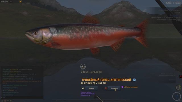 Fisher Online : Шотландия, Голец арктический смотреть онлайн