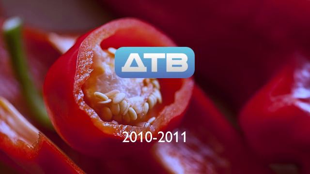 История логотипов ДТВ/Перец (1999-2015) смотреть онлайн
