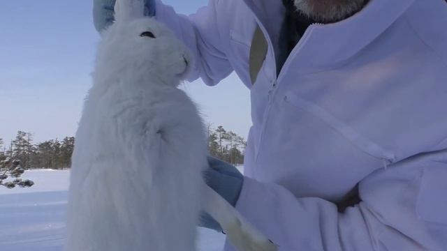 22lr / ОХОТА НА ЗАЙЦА