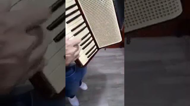 Bandon cu 80 Basi Hohner Verdi 2 Sita alba смотреть онлайн