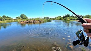 Рыбалка в мае на реке. ПОКЛЕВКИ РЫБЫ ОТДАЙ УДОЧКУ! Щука, Голавль, Окунь, Лещ на Спиннинг .