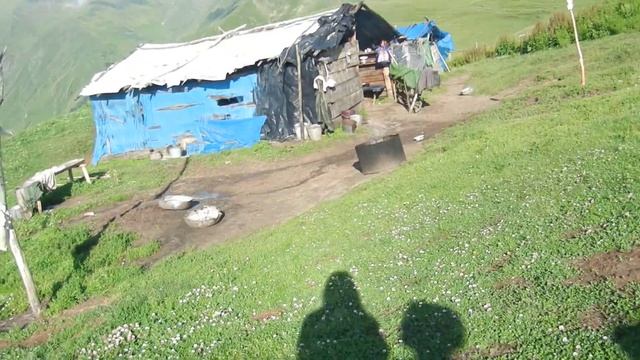 Tusheti-მეცხვარის ბინა смотреть онлайн