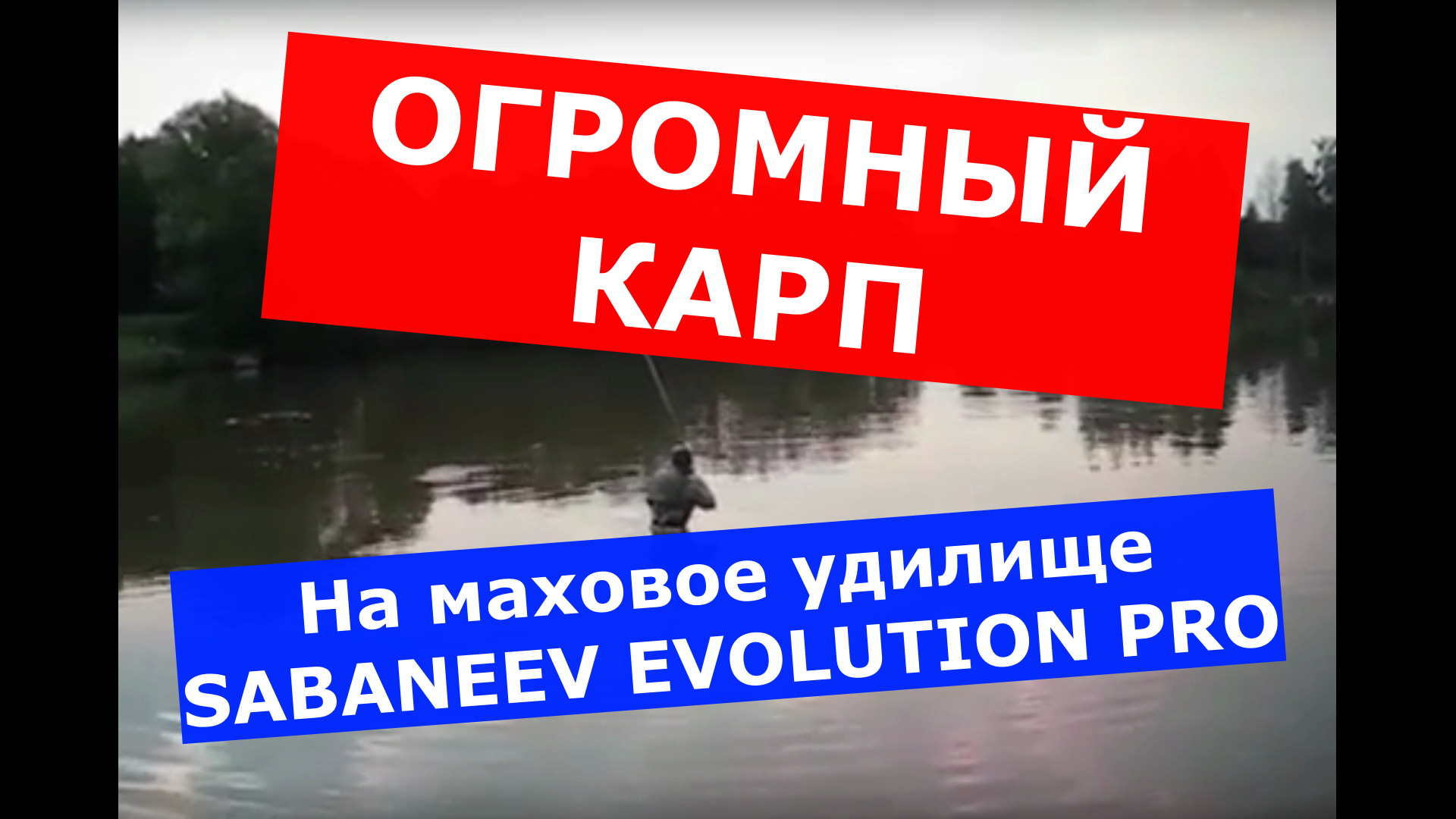 ОГРОМНЫЙ КАРП на МАХОВОЕ УДИЛИЩЕ. САМОЕ ПРОЧНОЕ и ЛЕГКОЕ УДИЛИЩЕ НА КАРПА. SABANEEV EVOLUTION PRO. смотреть онлайн