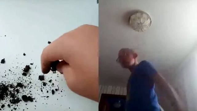 сматрю как миша крут флексит, и сыплю грязь смотреть видео в цвете смотреть онлайн