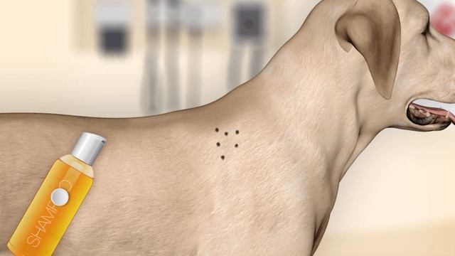 Pet Vet Doctor - DOGS Rescue Gameplay for ios смотреть онлайн