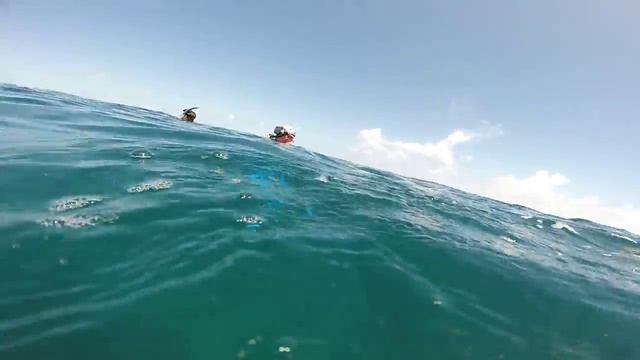 Snorkeling around Heron Island, Great Barrier Reef, Australia смотреть онлайн