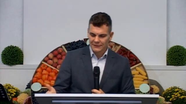 Плод - наш главный судья | Павел Богушевич смотреть онлайн