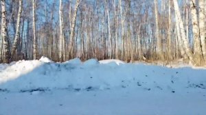 Мотобуксировщик Белка 6,5