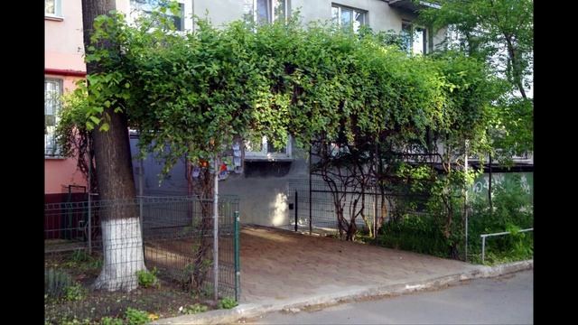 Spacer 1 maja 2023 roku смотреть онлайн