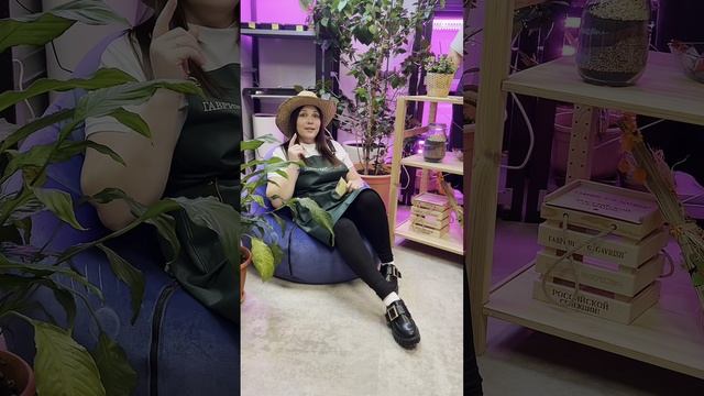 Результаты дачного сезона смотреть онлайн