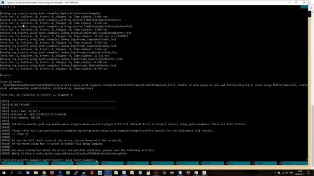 Управление качеством ПО. Лекция 4 часть 2. Использование AssertJ Swing
