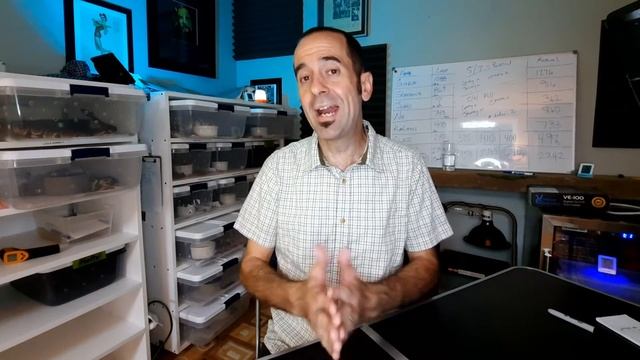 Summer 2021 Ball Python Channel Content - From YOUR input! смотреть онлайн