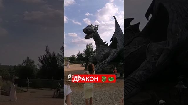 Устин пытается достать меч, чтобы сразиться с драконом. #shorts смотреть онлайн