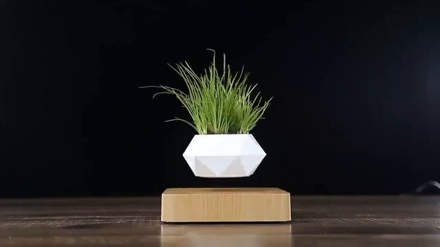 DBONSAK Levitating Air Bonsai Pot. DBONSAK Левитирующий горшок для растений смотреть онлайн