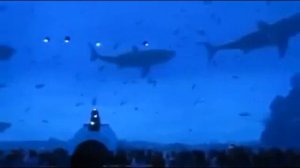 Проект "Голубой Луч" голограммы  7D