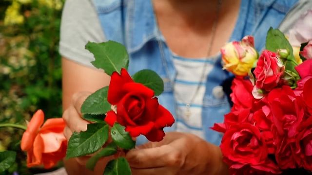 Букет из сада - 20 сортов роз! смотреть онлайн