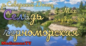 Русская Рыбалка 4 Где Клюет  р.Северский Донец  Сельдь черноморская на Мах 30.01.23
