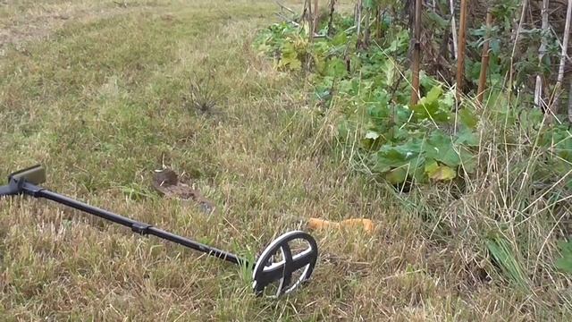 Накопал монет на старинном месте.Летуны подглядывают смотреть онлайн