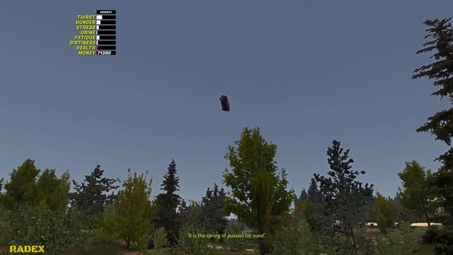 HAYOSIKO UTILITY PICKUP, FLATBED - My Summer Car #272 (Mod) | Radex