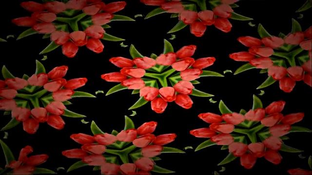 Видеофоны!!! Видеофон С Татьяниным Днём!!! Калейдоскоп из тюльпанов к Татьяниному Дню!!! смотреть онлайн