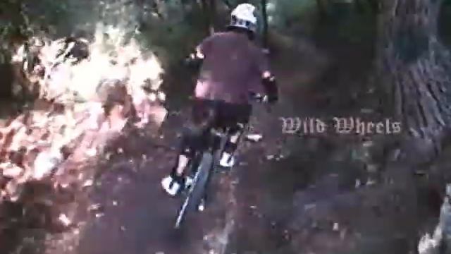WILD WHEELS DEMO смотреть онлайн