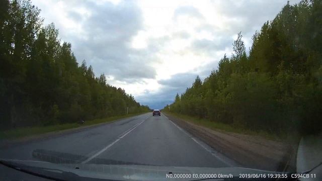 Медведь ест мусор у дороги смотреть онлайн