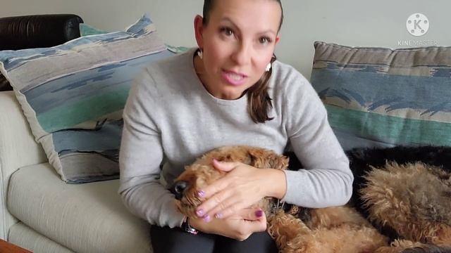 ЗАКОН И НАША ДОЧЬ. ЧТО ПОДАРИЛИ БЫВШЕМУ? смотреть онлайн