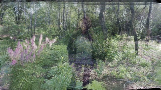 Planting & Mulching Before & After | No Dig Method | Serenity Now Garden смотреть онлайн