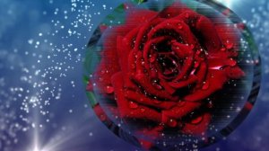 Футаж. Цветочный фон 152