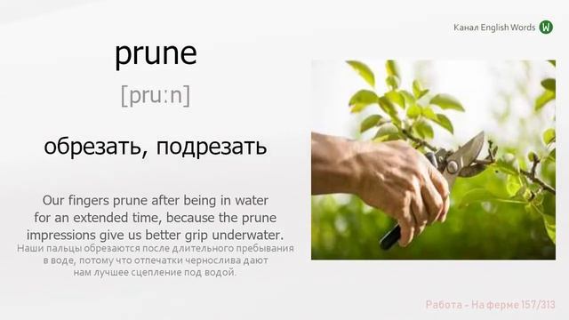 313 слов о работе. Английские слова с примерами. смотреть онлайн